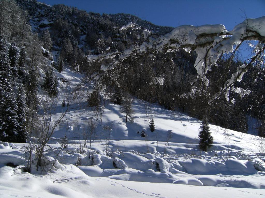 Albergo Thurwieser Santa Caterina Valfurva Bagian luar foto